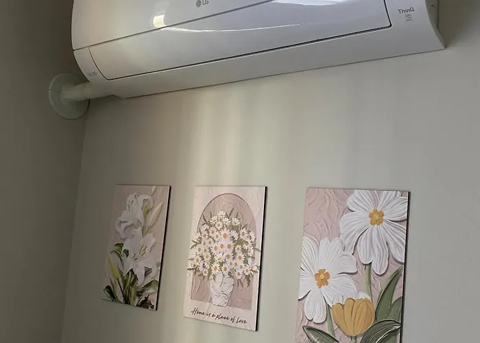 Apartment E&s Nest *